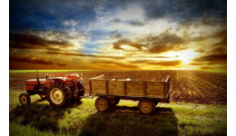 agriculture  data  historical  dongrila