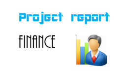 project report MBA dongrila