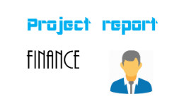 project report MBA dongrila