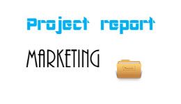 project report MBA dongrila