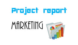 project report MBA dongrila